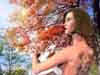 coll0005.jpg - 800x600 - 374kb - by GRAPHfx